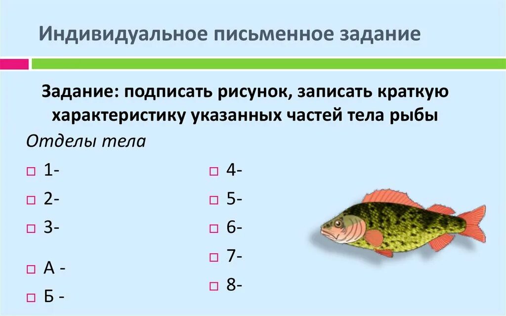 Строение рыбы тест. Строение рыбы. Строение рыбы 7 класс биология. Внутреннее строение рыб презентация. Внутреннее строение рыбы 7 класс биология.