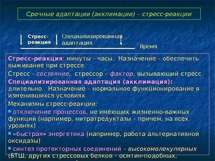 Механизмы адаптаций ксерофита. Устойчивость кальция к факторам внешней среды. Адопция. Способы повышения специфической устойчивости. Адаптация виды и механизмы адаптации.