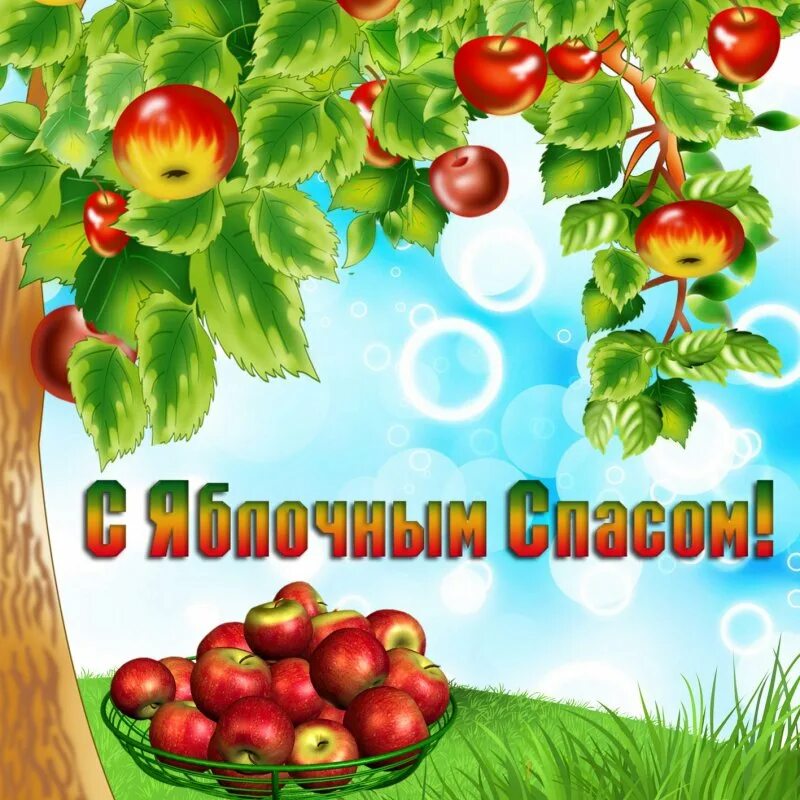 Доброго дня с яблочным спасом картинки. Яблочный спас. с праздником яблочный спас картинки. картиночку с яблочным спасом. яблочный спас надпись.