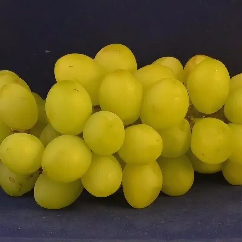 Grape sugar