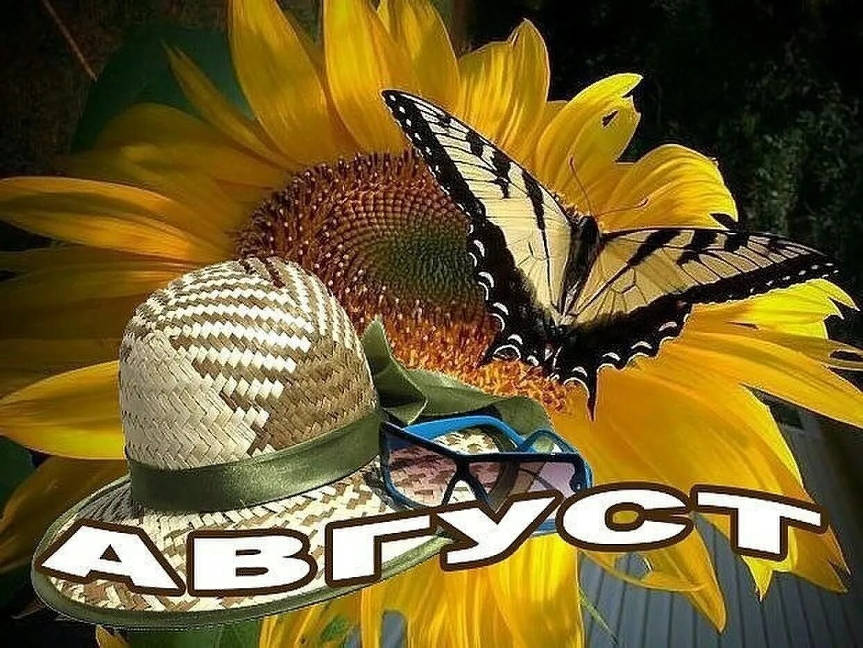 Открытка арбуз. Открытки привет август. Открытки привет август. Открытки привет август. Август открытки.