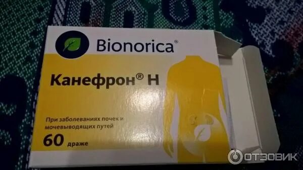 5 нок или канефрон