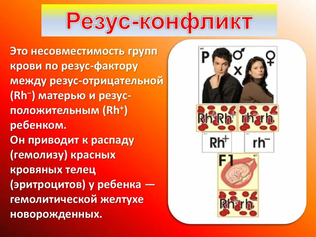 Резус отрицательный донор. Группа крови резус конфликт. Переливание крови резус-фактор. Тканевая несовместимость. Группа крови резус отрицательный.