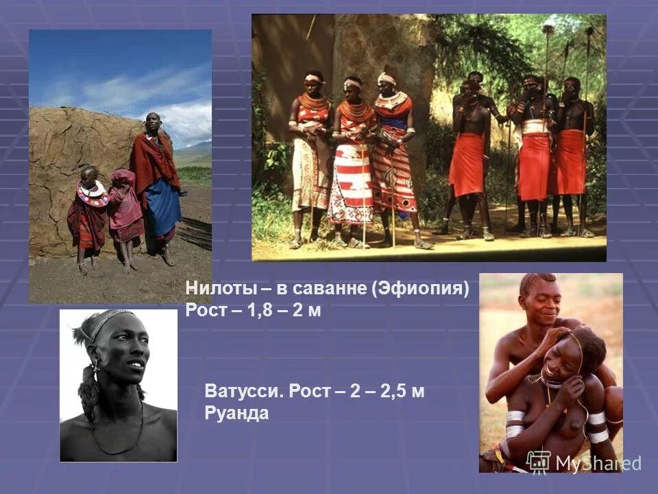 самые высокие народы африки 180-200 см. тутси племя. пигмеи нилоты тутси относятся. тутси масаи племя. народы центральной африки.