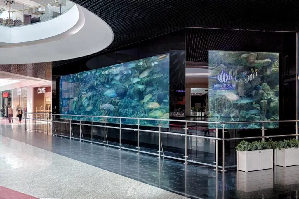 Тц океан плаза киев. Трц оушен плаза киев. Океан плаза. Трц ocean plaza киев. Трц ocean plaza киев.
