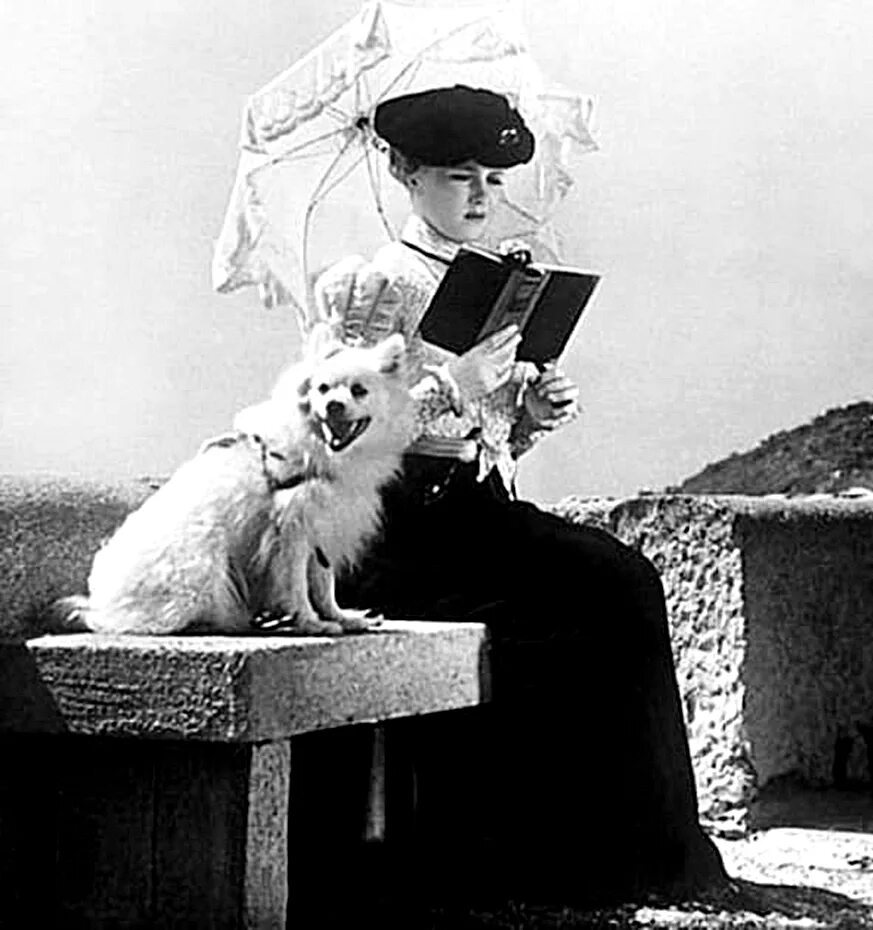 Дама с собачкой кто играет главную роль. Баталов дама с собачкой. Дама с собачкой кто играет главную роль. "дама с собачкой". Дама с собачкой 1960.