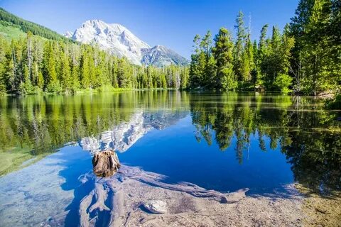 Картинка природа озера