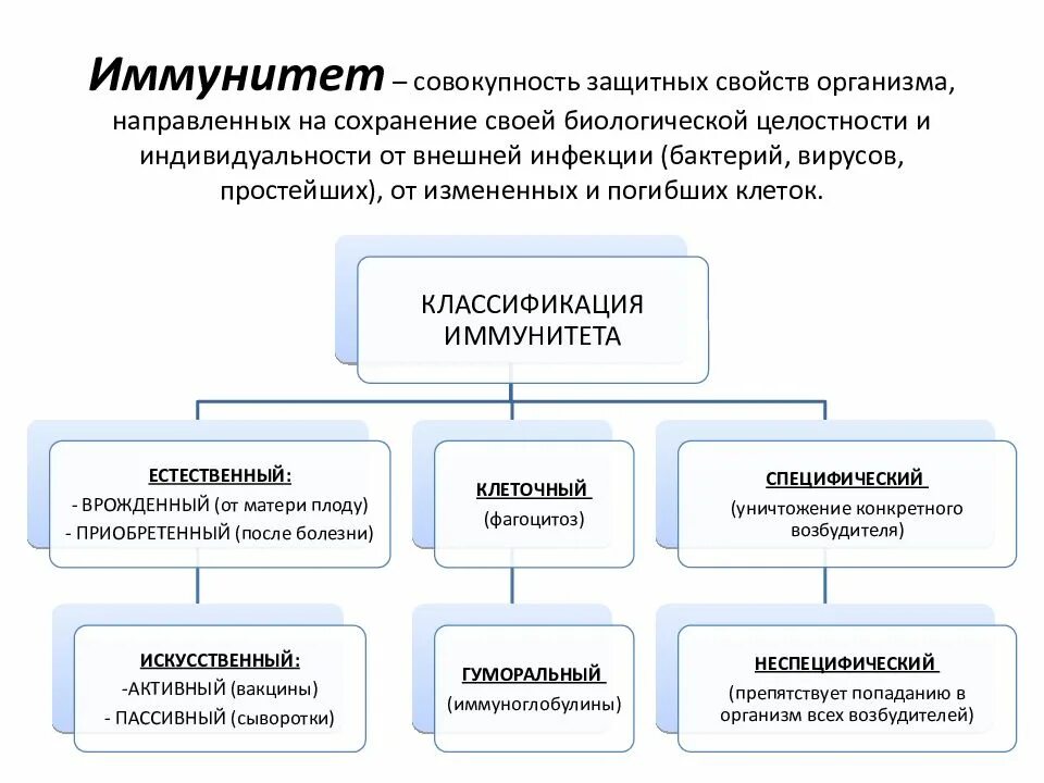 Иммунитет это кратко. Ослабленный иммунитет. Иммунитет. Защитная сила. Иммунную защиту организма обеспечивают.