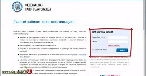 Когда появляются доходы в личном кабинете налоговой