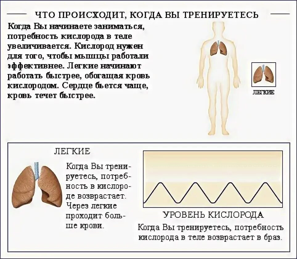 Плазменное тело человека. Правила обращения с трупом. Бросить курить. Что происходит с телом на 40. Энди флетчер похоронен.