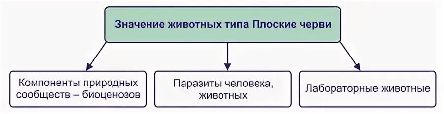 Значение круглых червей в природе и жизни человека. Роль круглых червей в экосистемах. Значение кольчатых червей. Знак сквозной проезд запрещен пояснение. Значение кольчатых червей в жизни человека.