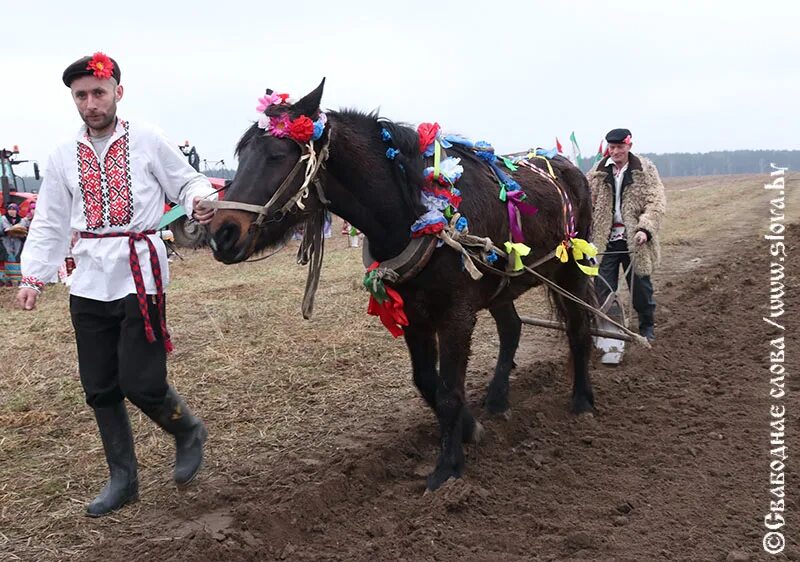 дагестанский праздник первой борозды. праздник первой борозды. праздник борозды в дагестане. праздник первой борозды в дагестане. обряд первой борозды.