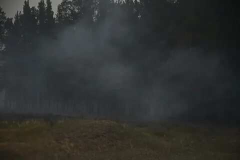 Лесные степные торфяные пожары в пермском крае