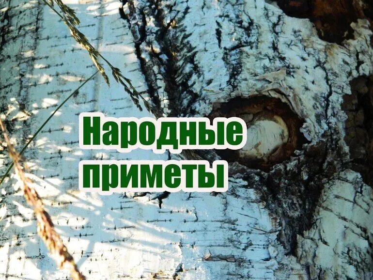 Народные приметы. Страшной день 11 января приметы. Народные приметы сегодняшнего дня. Народные приметы на завтра что нельзя делать