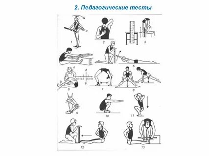 Основным методом развития гибкости является метод