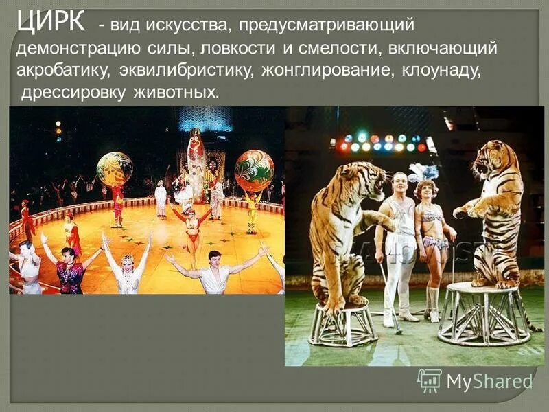 виды цирков. цирк как искусство презентация. здание цирка какой вид искусства. профессии в цирке. цирк искусство.