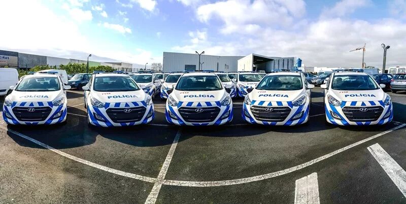 Frota academy. Frota academy. Frota academy. Ares джиу джитсу. Фабиана родригес фрота.