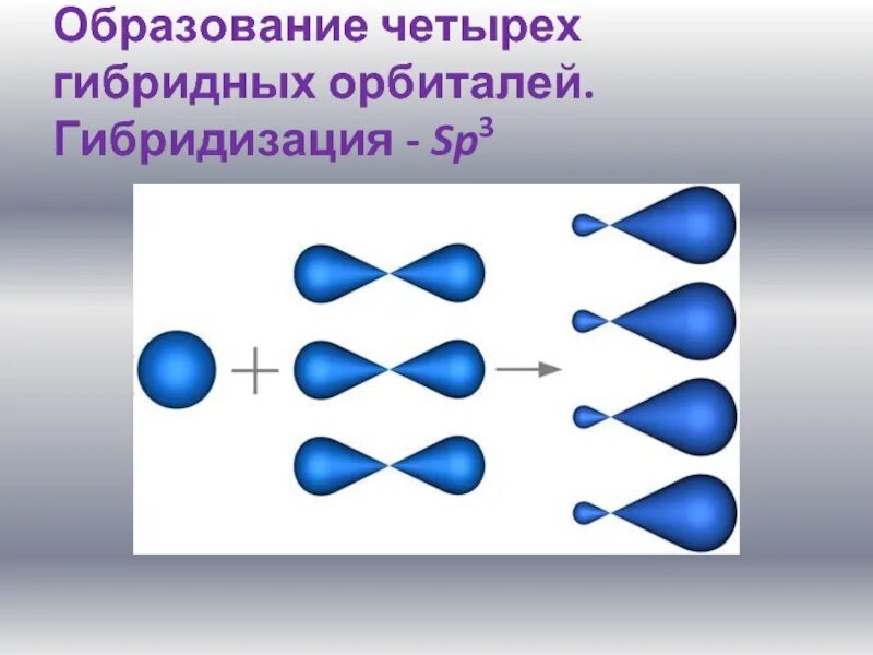 SP гибридизация. Sp2 гибридизация. SP орбиталь. Структуры молекул с гибридными орбиталями.