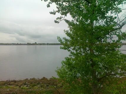 Берег авито