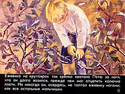 Сказка к г паустовский дремучий медведь