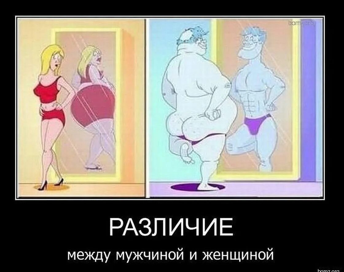 Какая разница между девушкой и девушкой. Различия между мужчиной и женщиной. мужчина и женщина разница. демотиваторы про фигуру. разница между мужчиной и женщиной прикол.