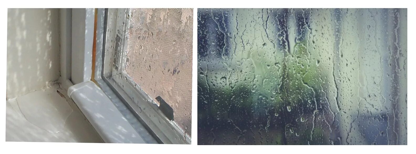 Почему на стекле окна образуется лед. Плесень на окнах. Грибок на окнах. Плесень на пластиковых окнах. Грибок на стекле пластиковых окон.