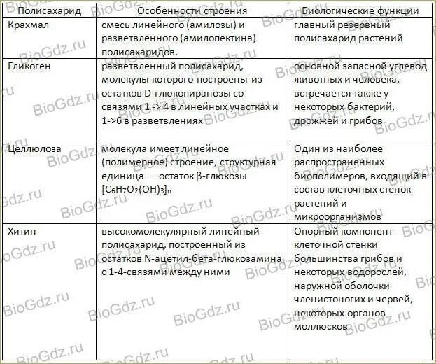 Проанализируйте таблицу строение и функции углеводов. Сравнительная характеристика полисахаридов. биологические функции полисахаридов. полисахариды особенности строения. функции крахмала биология.