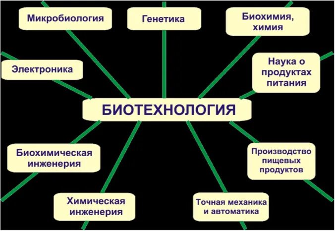 Взаимосвязь биотехнологии с другими науками. Связь биотехнологии с фундаментальными науками. Биотехнологии и другие дисциплины. Взаимосвязь экономической науки с другими науками. Связь биологии с другими