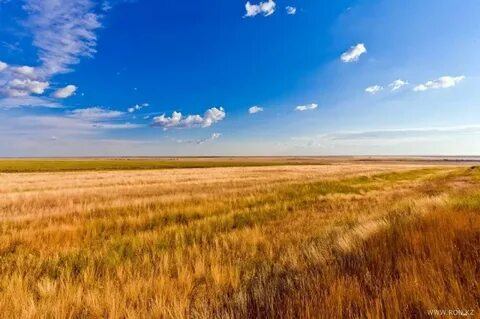 Просторы оренбургская область