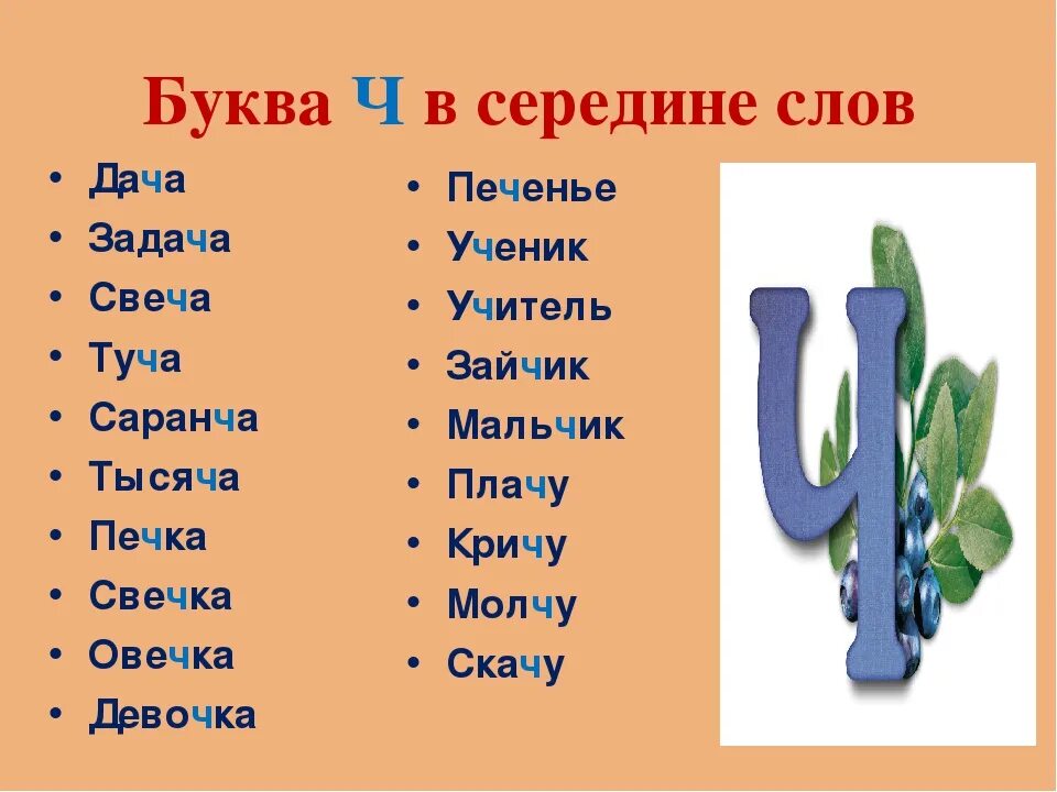 Слово начинается и заканчивается на д. Слова на букву ч. Слоги с буквой ч. Слова на букву ч для детей. Слова на букву ЧН.