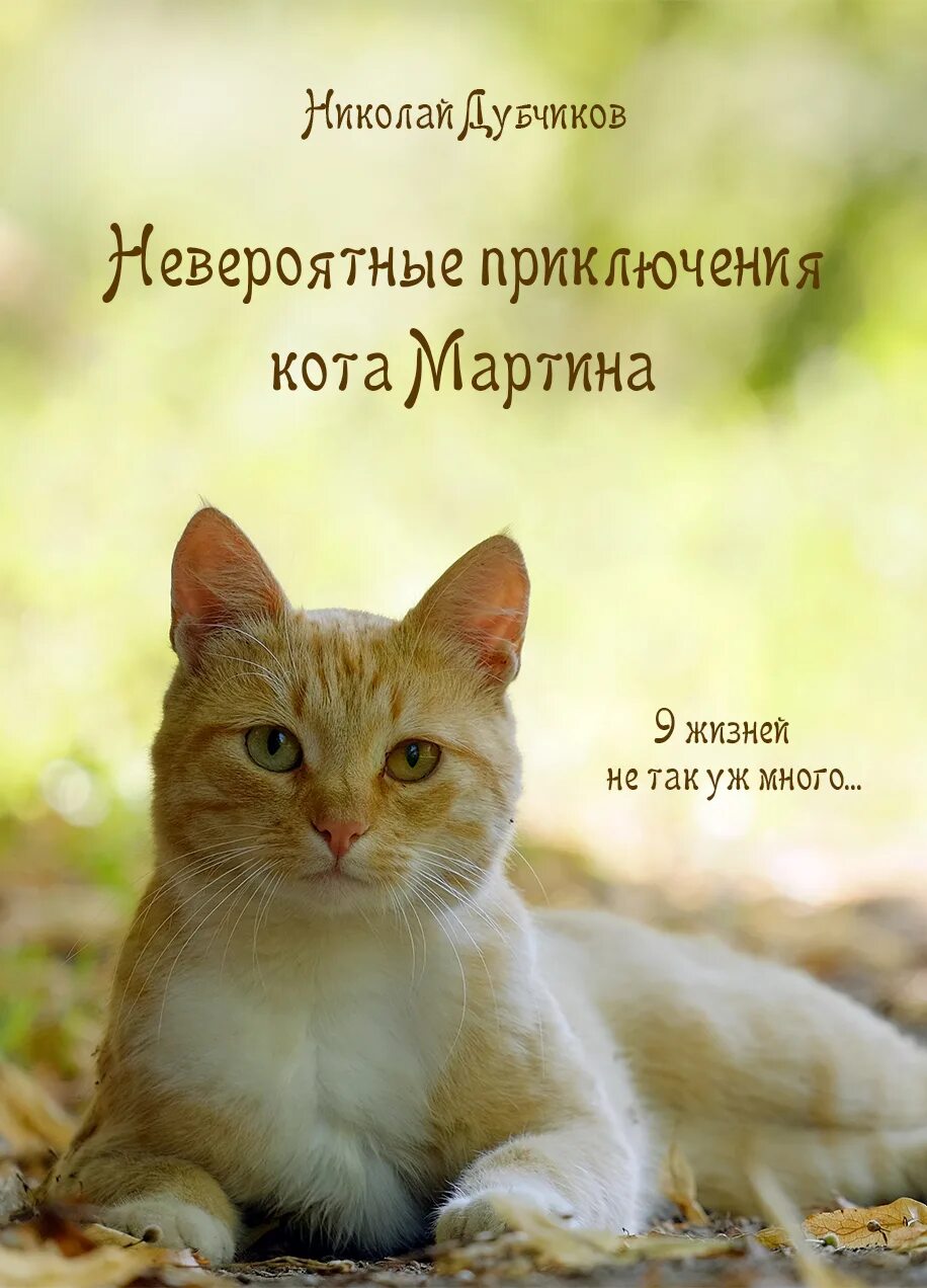 Невероятные приключения кота. Кошачьи приключения. Приключения рыжего кота. Книга невероятное приключения