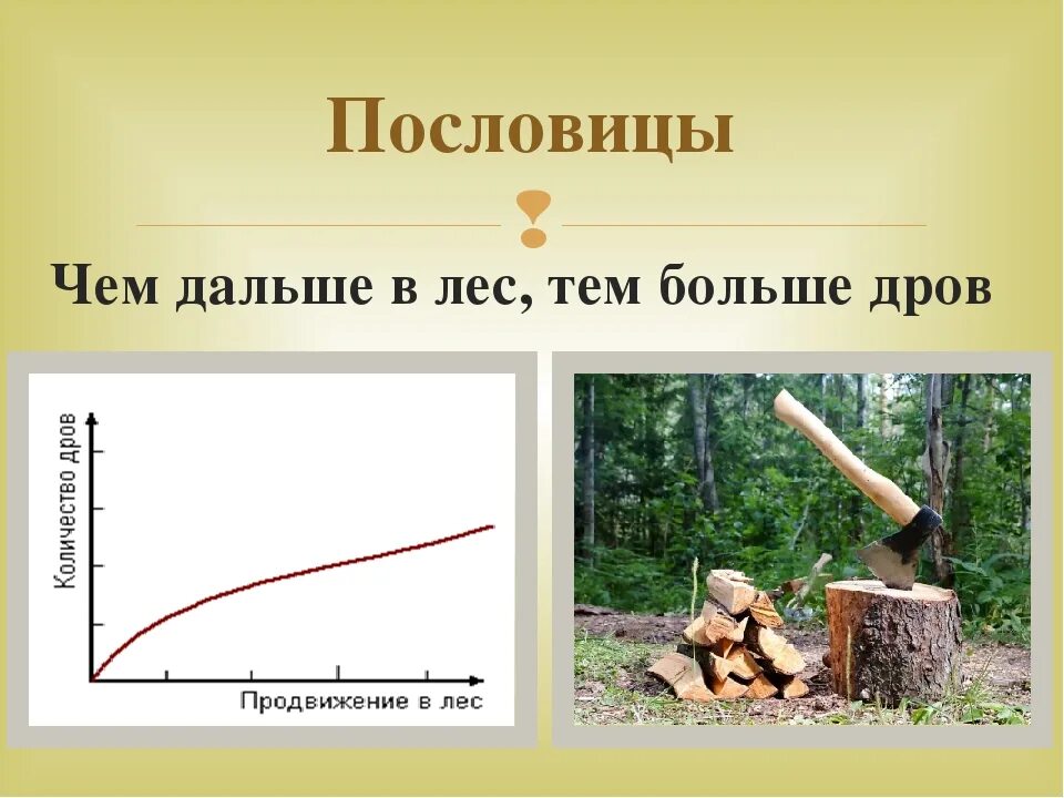 Тема выше. Чем дальше в лес тем больше дров. Чем дальше в лес пословица. Чем дальше в лес поговорка. Поговорка чем дальше в лес тем больше дров.