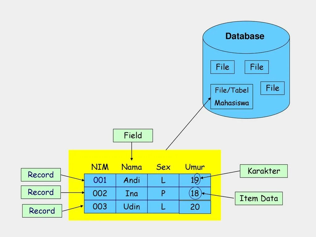 Database field. DB файл. Открытый database файл. Database field and record. Database fields
