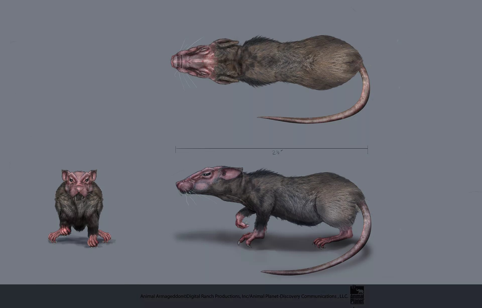 Animal armageddon 2021. Армагеддон животных. Армагеддон динозавров. Сериал армагеддон животных. Армагеддон динозавров.