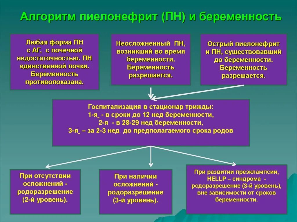 Пиелонефрит 2 триместр. Пиелонефрит и беременность. Пиелонефрит у беременных презентация. Пиелонефрит при беременности презентация. Памятка профилактика пиелонефритов у беременных.