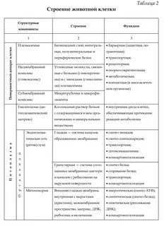 Структура и функции клетки