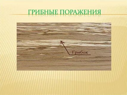 Поражение грибами