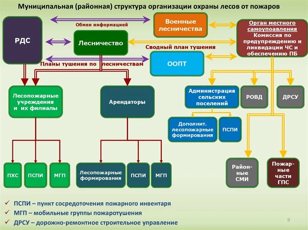 Охрана леса организация. Организационная структура охраны лесов. Структурная схема организации охраны лесов от пожаров. Структура авиационной охраны лесов. Отдел охраны в организации