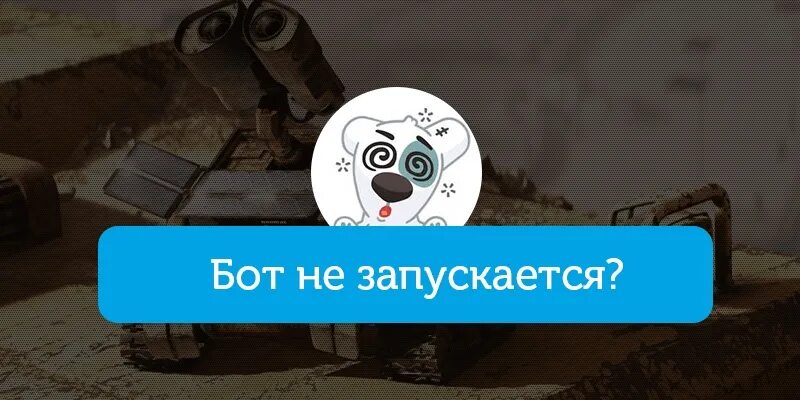 Мем про никиту и обезьяну. Chim bot. Тролль бот шимпанзе. Chim bot. Чат бот обезьяна.