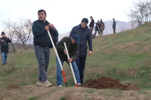 Через посадка душанбе