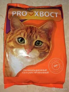 Прохвост