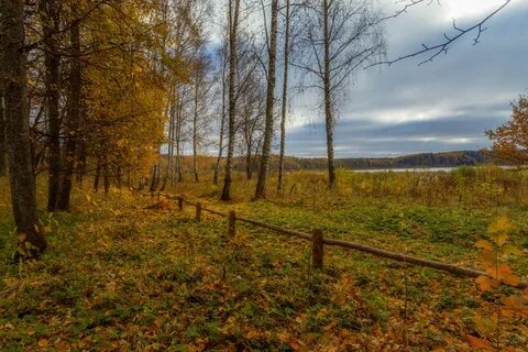 Петровское ленинградская область