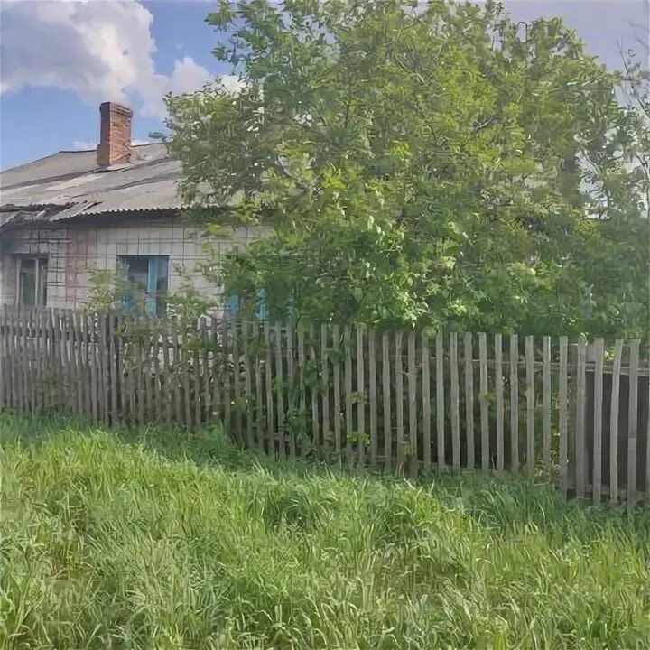Погода в нововоскресенке нсо. Нововоскресенка черепановский. Погода в нововоскресенке нсо. Деревня нововоскресенка. Погода в нововоскресенке нсо.