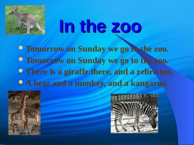 She going to the zoo. Zoo стихотворение. Tomorrow on Sunday we go to the Zoo. At the Zoo стих. Go to the Zoo.