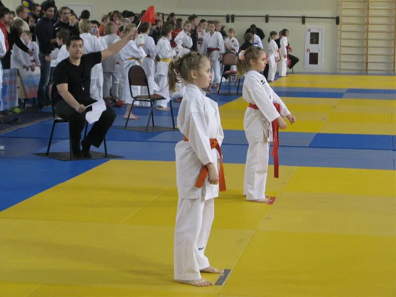 Яхара микио каратэ семинар. Каратэ зеленоград. Карате зеленоград. Новикова антонина каратэ. Каратэ зеленоград 14 район.