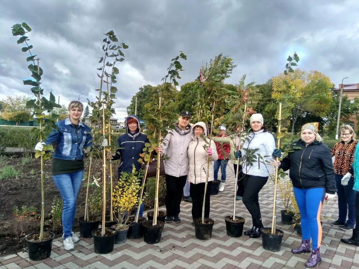 Погода осинки безенчукский области. Безенчук парк НИИСХ. Парк военный НИИСХ Самарская обл Безенчук. Озеленение города волонтеры. Работники администрации Самарской области.