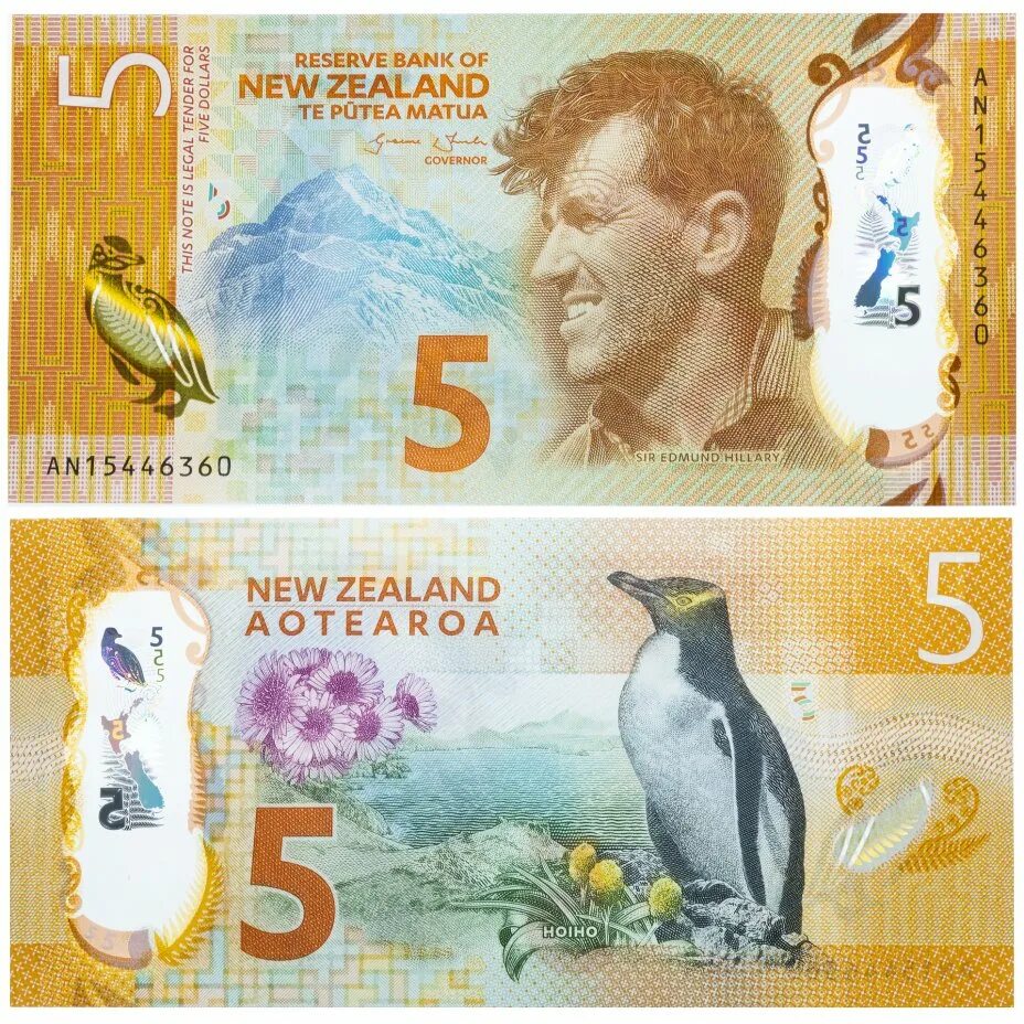 Доллар новая зеландия. 5 Долларов новая Зеландия банкнота. Новозеландские купюры. Банкнота новозеландский доллар. Купюра 5 доллара новая Зеландия.
