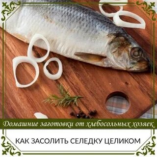 Рецепт соленой сельди целиком