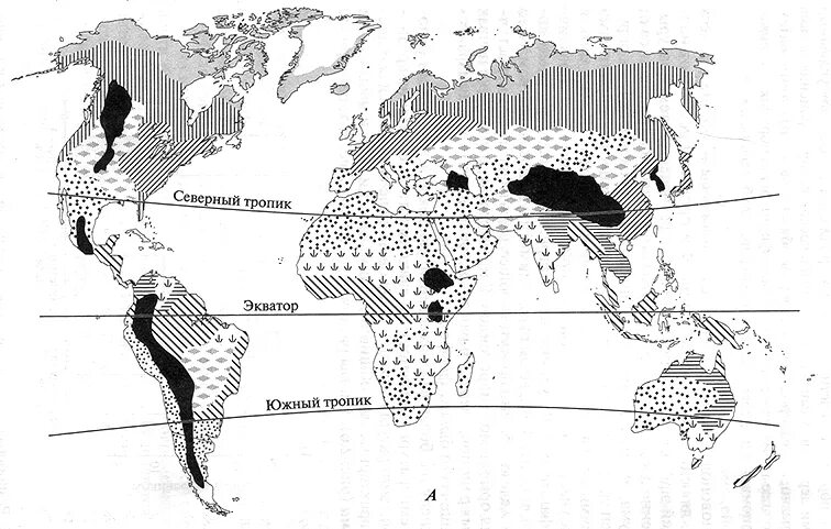 Биомы суши. Зональные типы биомов суши. Биомы суши карта. Основные типы биомов суши по Вальтеру карта. Схема типов биомов суши по Вальтеру.