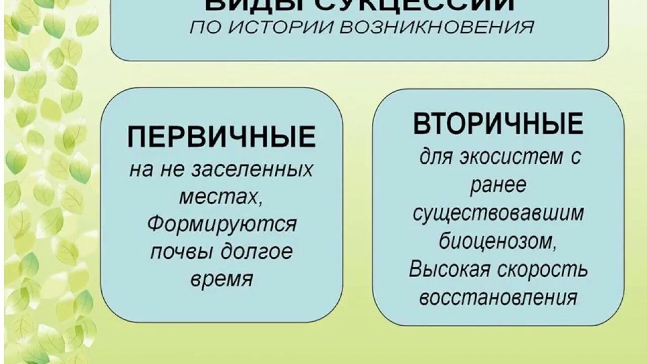 Первичная сукцессия схема. Сукцессии биогеоценоза. Сукцессия презентация 11 класс. Сукцессии биогеоценоза. Вторичная сукцессия.